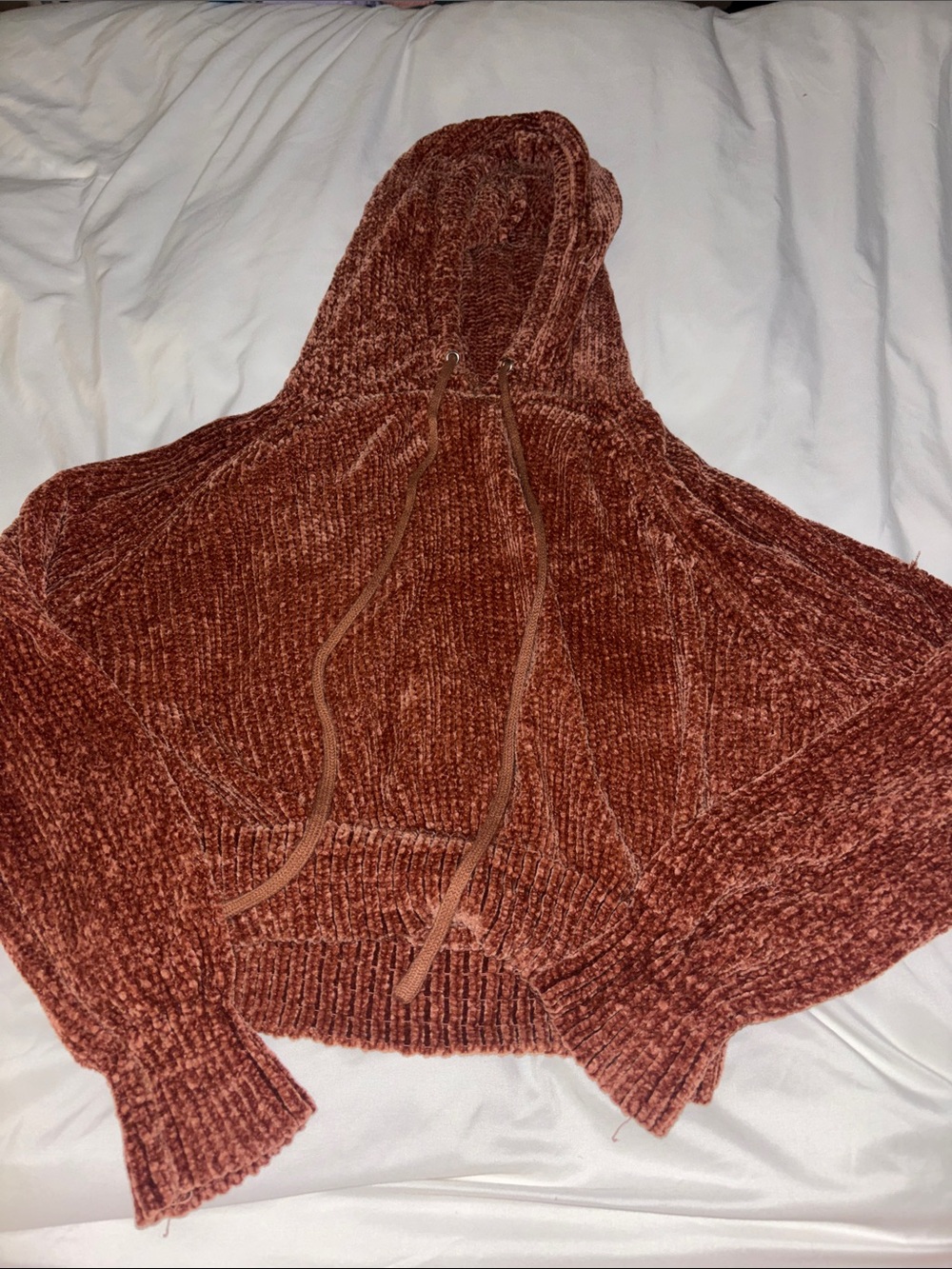 Planet Gold Chenille Hoodie Sweater in Rust Brown